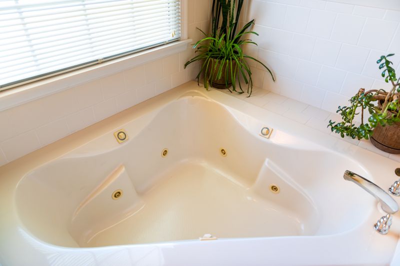 Summer Bathtub Renovations
